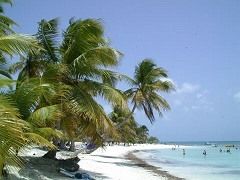 mein urlaub in der domrep - 