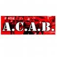 A.C.A.B all cops are basterds - 