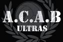 A.C.A.B all cops are basterds - 