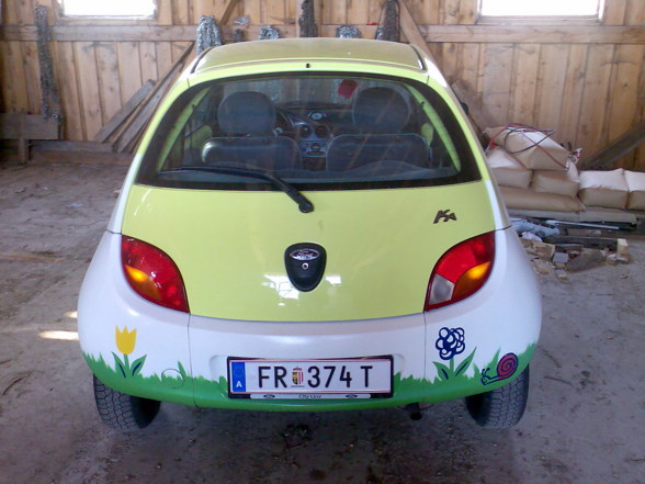 mein geiles blumenauto =) - 