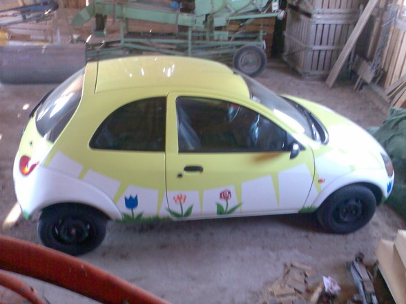 mein geiles blumenauto =) - 