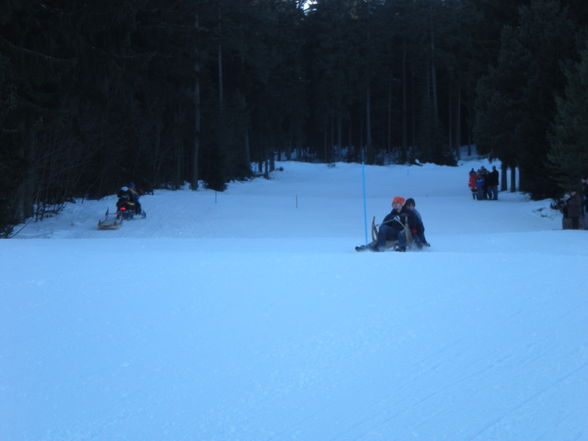 Ziagschlittnrennen  - 