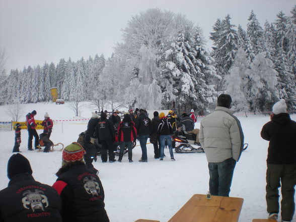 Ziagschlittenrennen 2010 - 