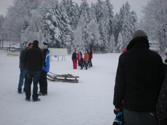 Ziagschlittenrennen 2010 - 