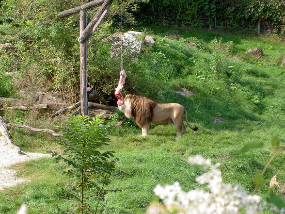 Kurzurlaub am stubenbergsee - 