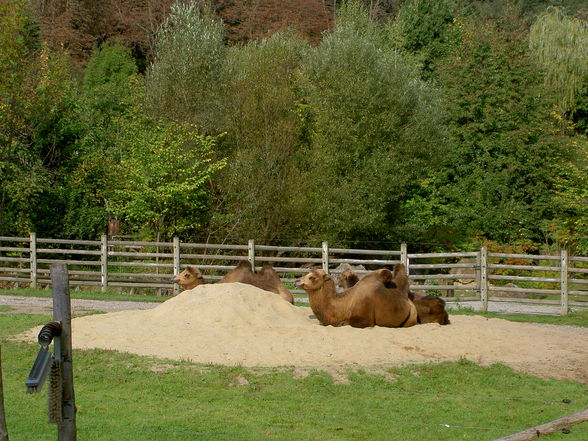 Kurzurlaub am stubenbergsee - 