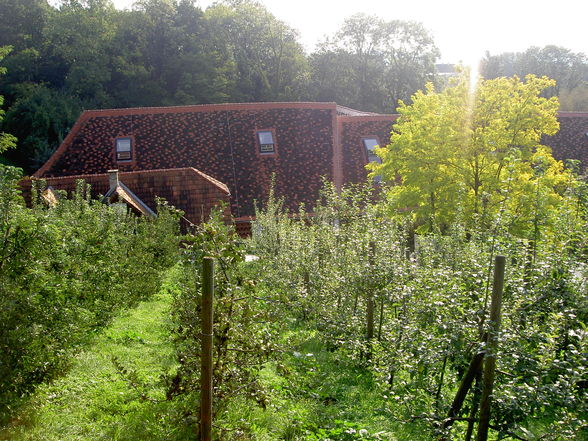 Kurzurlaub am stubenbergsee - 