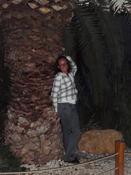 BODRUM 2008 - 