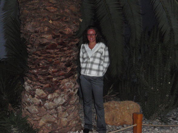 BODRUM 2008 - 