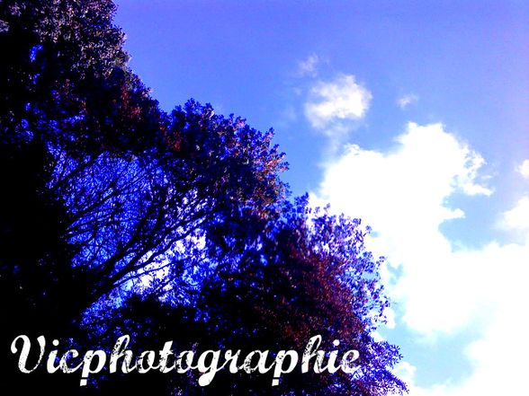 Vicphotographie * ((: - 