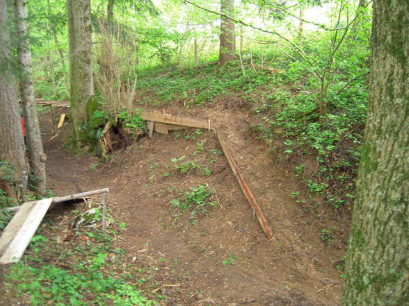 DmTb Park - 