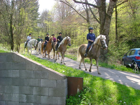 Georgiritt Mdf 25.April 2010 - 