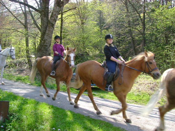 Georgiritt Mdf 25.April 2010 - 