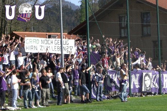 Solidarität von Fans in Österr - 