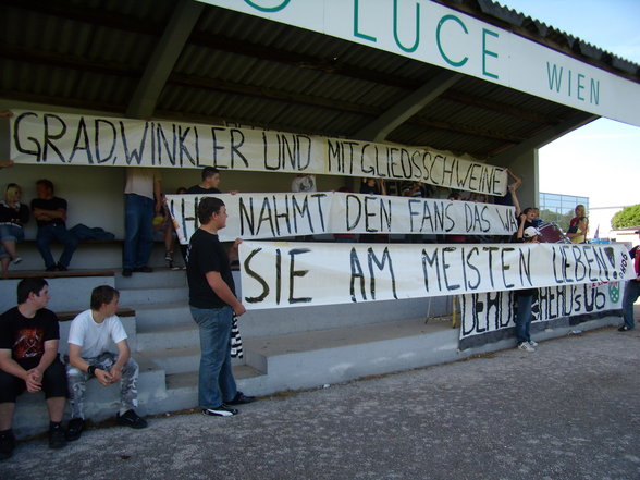 Solidarität von Fans in Österr - 