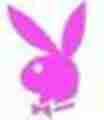 playboy bunny - 