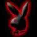 playboy bunny - 