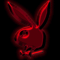 playboy bunny - 