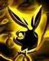 playboy bunny - 