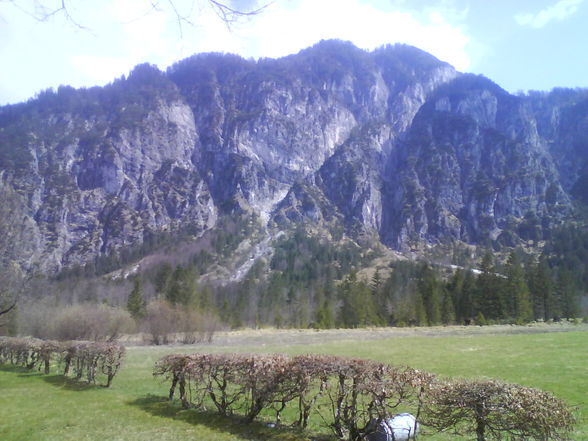 Almsee - 