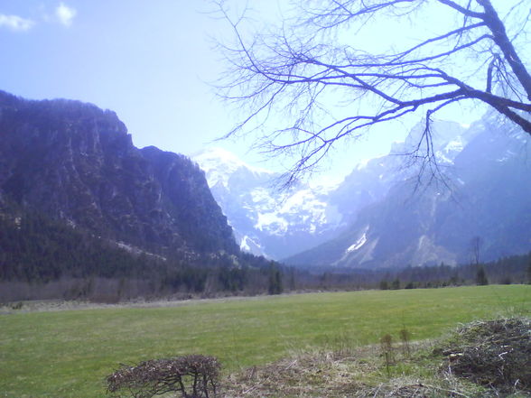 Almsee - 