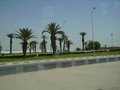 urlaub tunis - 