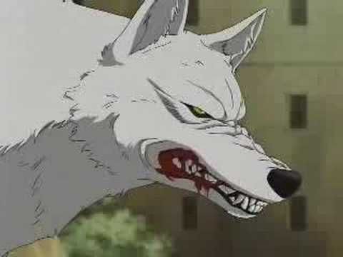 Wolfs Rain - 