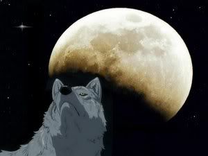 Wolfs Rain - 