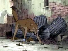 Wolfs Rain - 