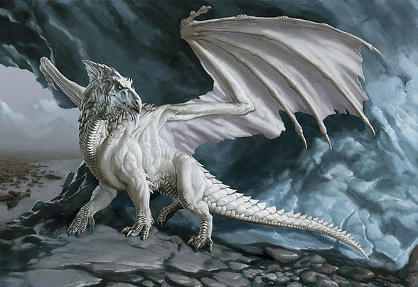 Dragon - 