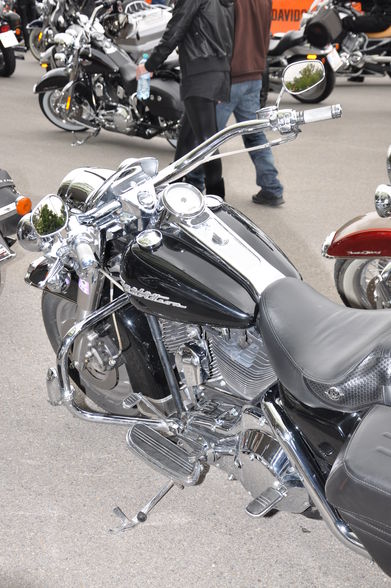 Harley Treffen Wien - 