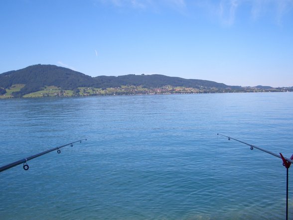 Fischen am Attersee - 