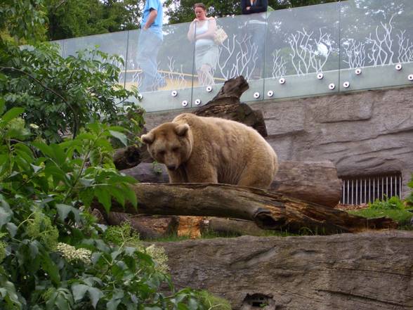 Tierpark Schönbrunn - 