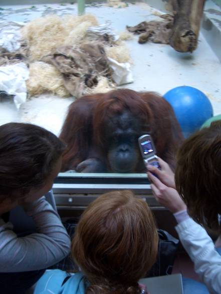 Tierpark Schönbrunn - 