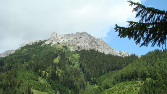 Wanderung zum Präbichl - 