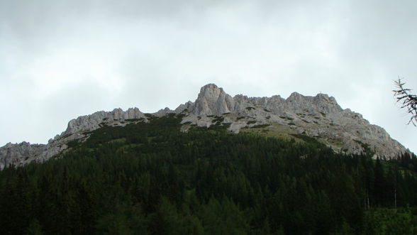 Wanderung zum Präbichl - 