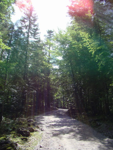 Gosausee- Wanderung - 