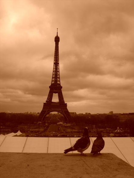 PARIS =) - 