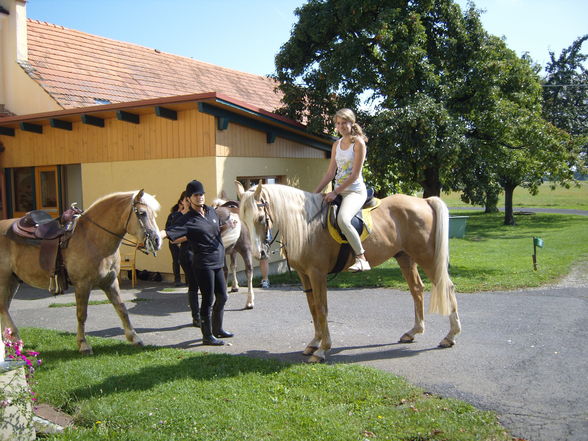 ihr schreibt geschichte ♥ - 