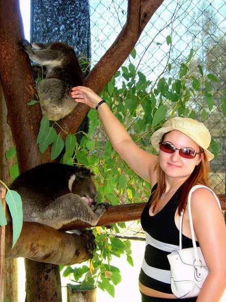 Australien 22.12.06 - 8.1.07 - 