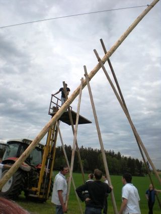 Maibaum aufstellen und aufpassen - 