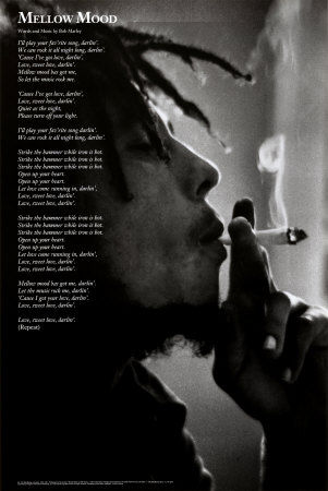 !!bob marley!! - 