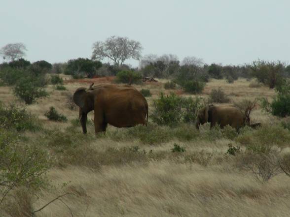 Kenia Woche 1 - 