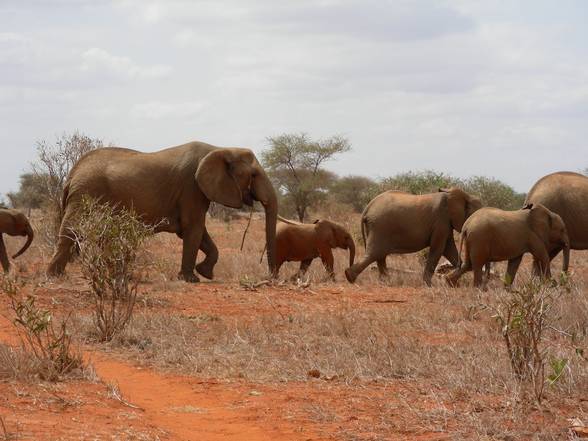 Kenia Woche 1 - 