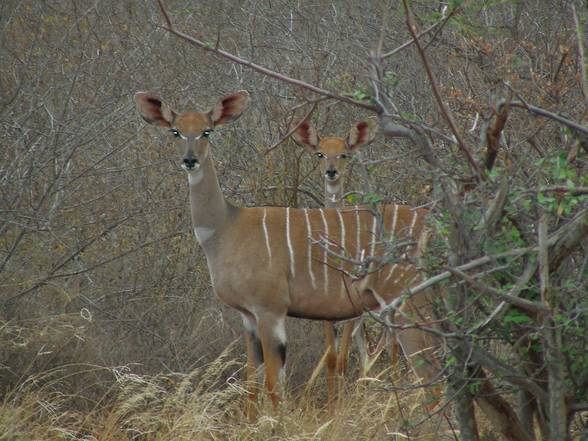 Kenia Woche 1 - 