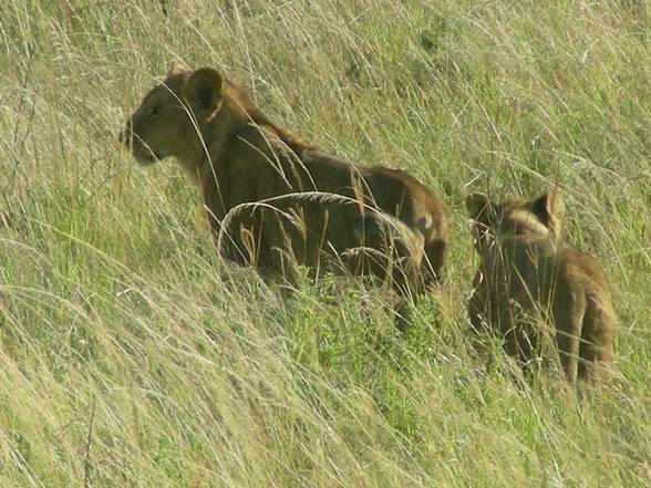 Kenia Woche 1 - 