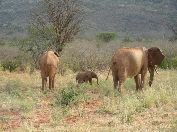 Kenia Woche 2+3 - 