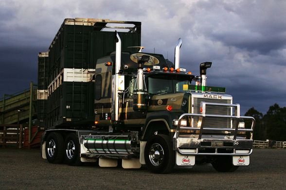 TRUCKS - 