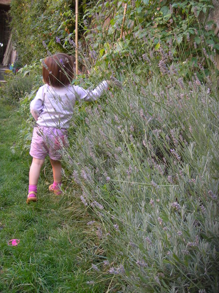 le fabuleux destin de... - 