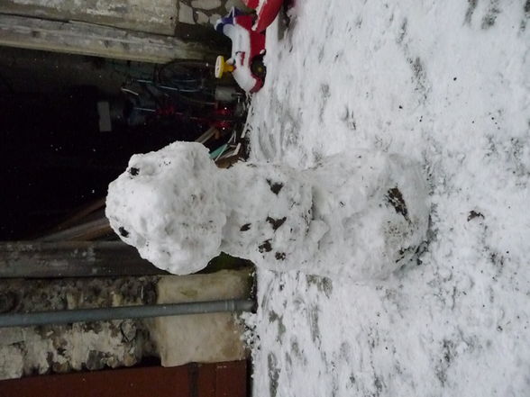 franz.. der schönste schneemann der welt - 